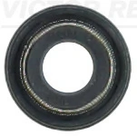 Seal Ring, valve stem